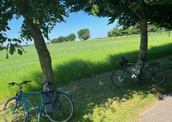 La Veloroute du lin, de l&rsquo;or bleu en roue libre