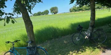 La Veloroute du lin, de l&rsquo;or bleu en roue libre