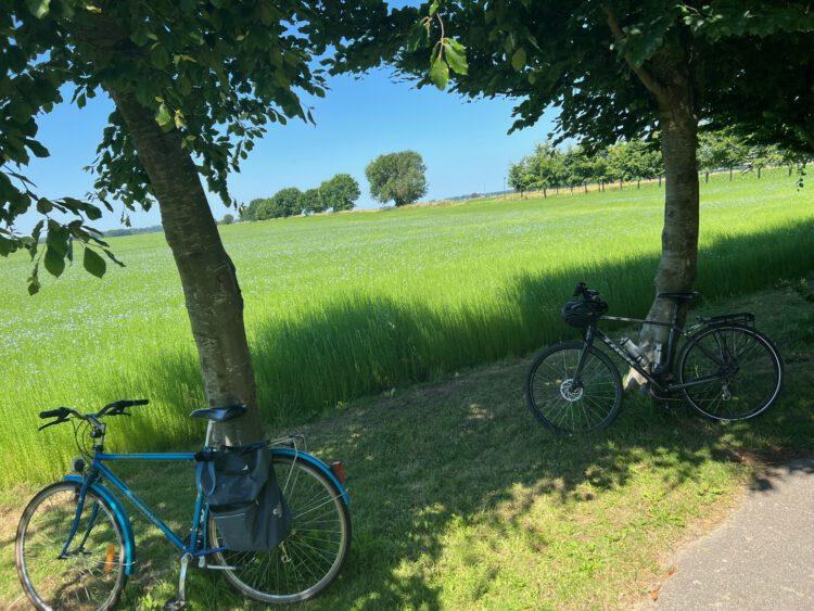 La Veloroute du lin, de l&rsquo;or bleu en roue libre