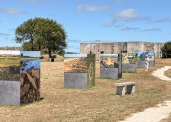 Batterie d&rsquo;Azeville : l&rsquo;exposition « Laisse béton ? » change notre regard sur les blockhaus de la Manche